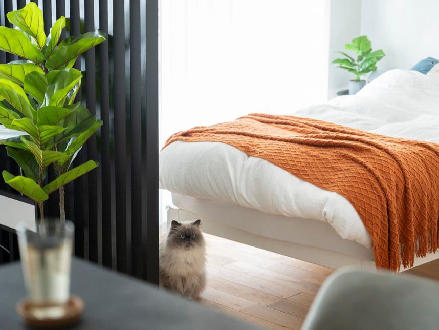 中古マンションのリノベーション後の寝室のベッド