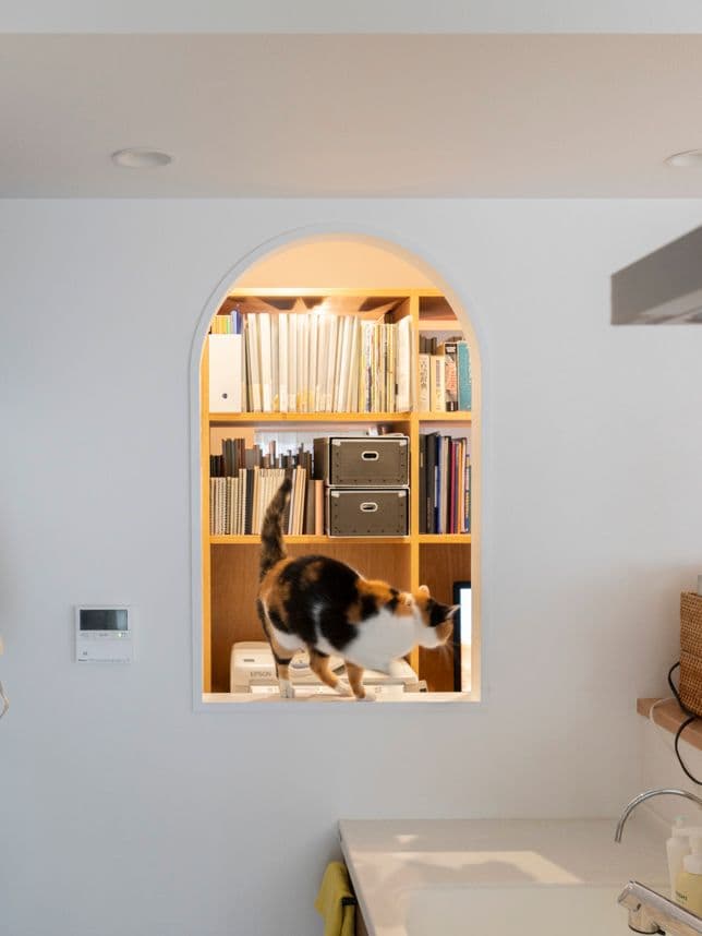 中古マンションのリノベーション後の開口にいる猫