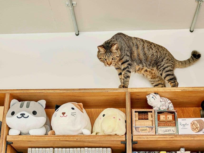 中古マンションのリノベーション後の造作本棚